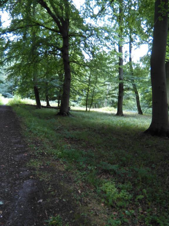 Lystskov Camping & Cottages Korsør Buitenkant foto
